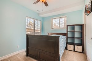 41 Lower Level Bedroom