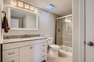 43 Lower Level Bathroom